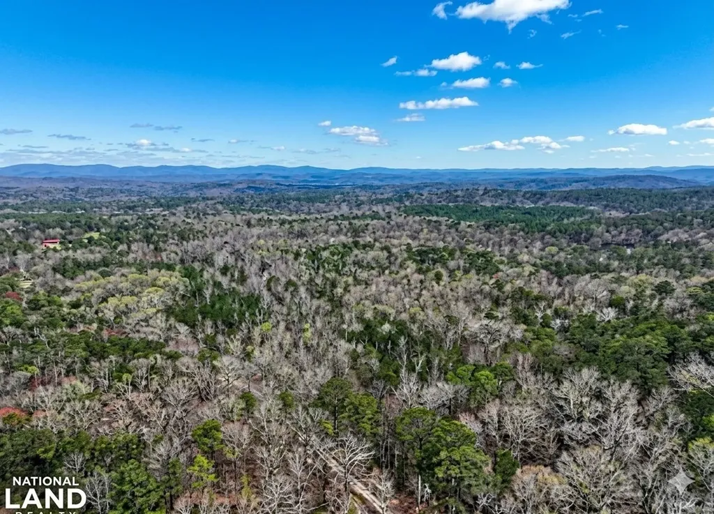 0 Hopeful Road Munford AL 36268