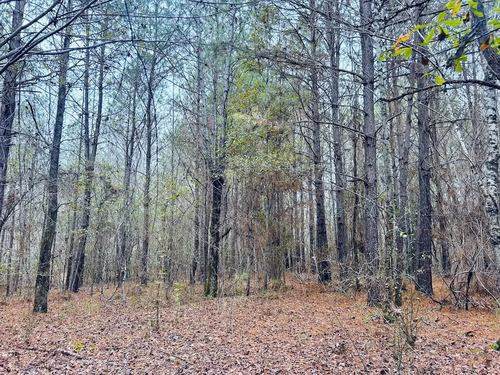 0 Hopeful Road Munford AL 36268