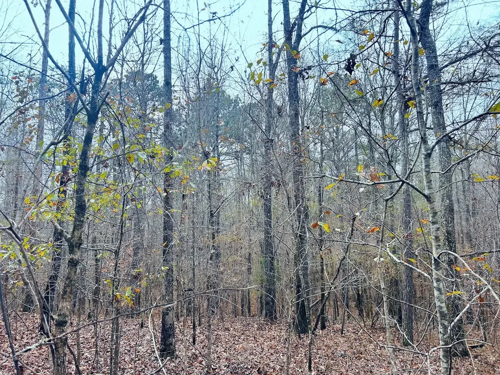 0 Hopeful Road Munford AL 36268