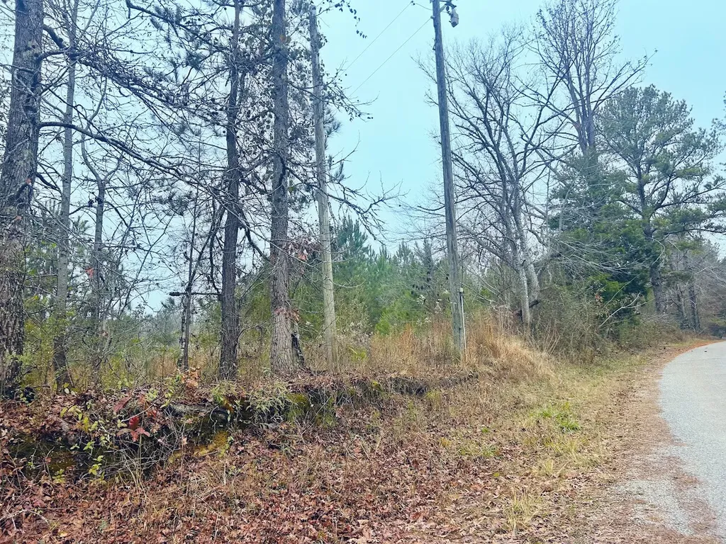 0 Hopeful Road Munford AL 36268