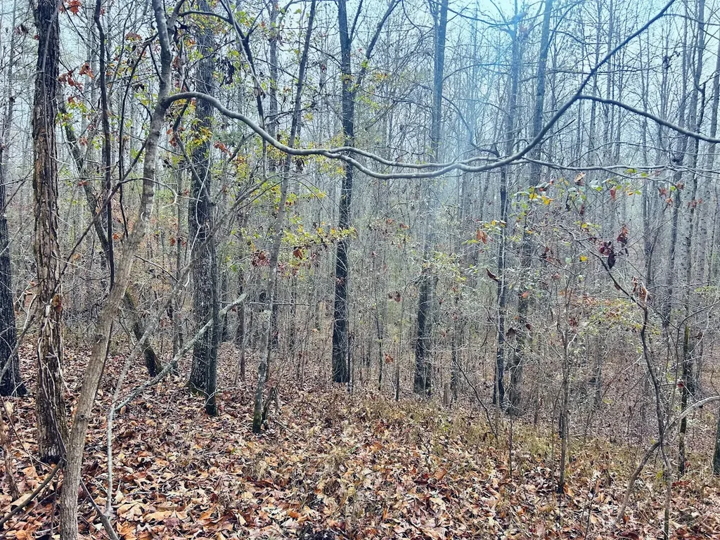 0 Hopeful Road Munford AL 36268
