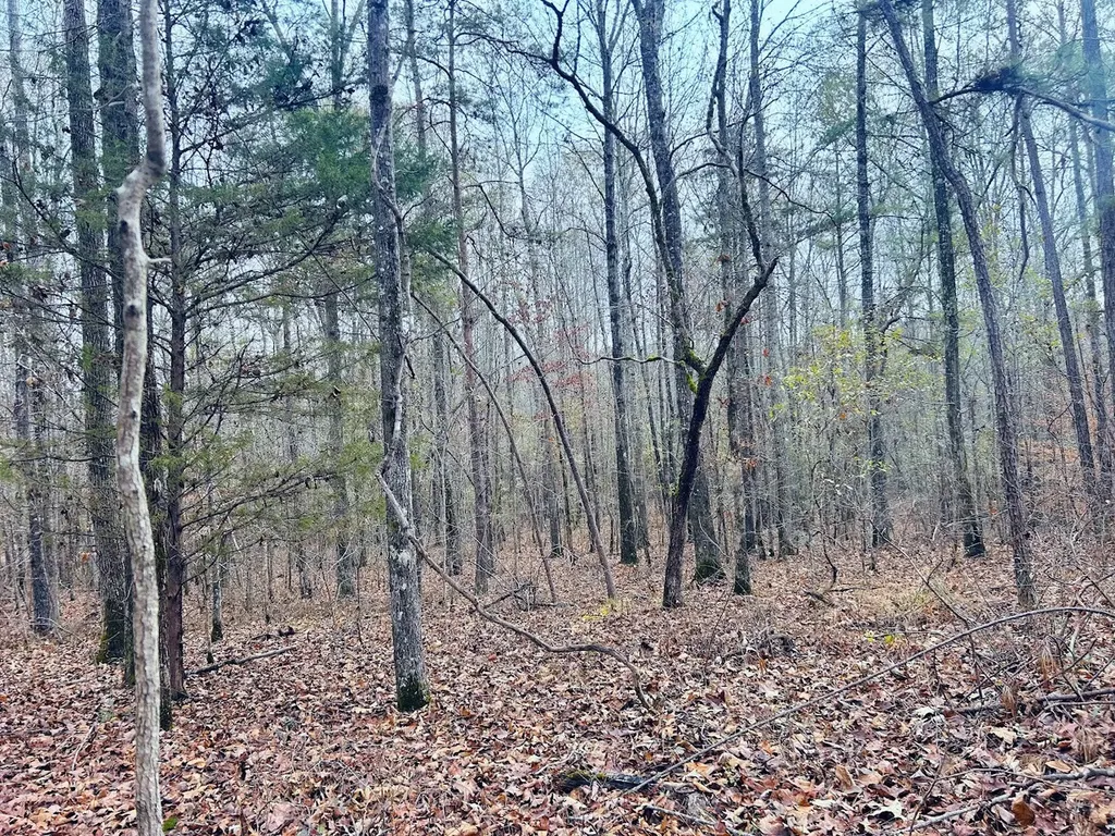 0 Hopeful Road Munford AL 36268