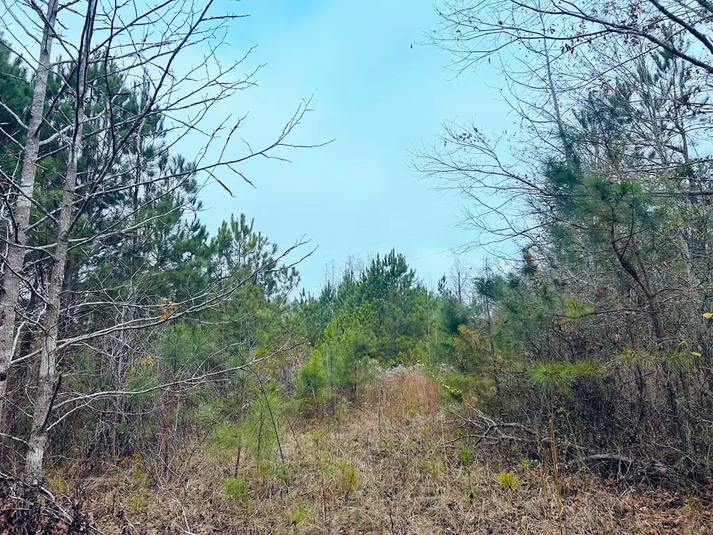 0 Hopeful Road Munford AL 36268