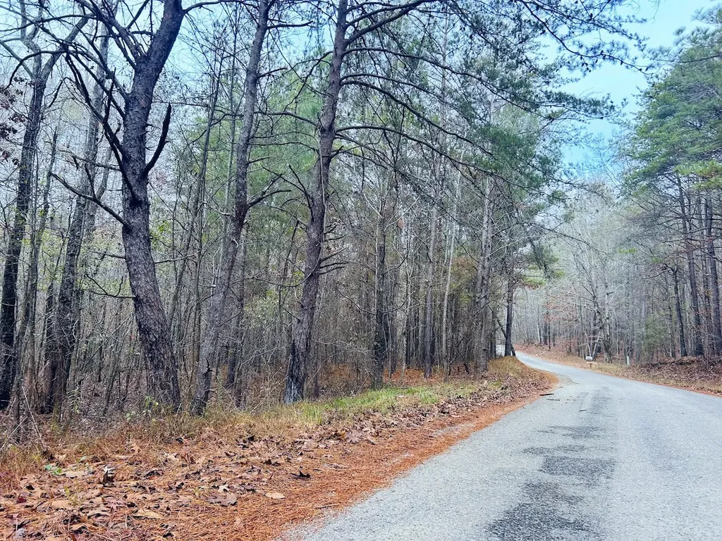 0 Hopeful Road Munford AL 36268
