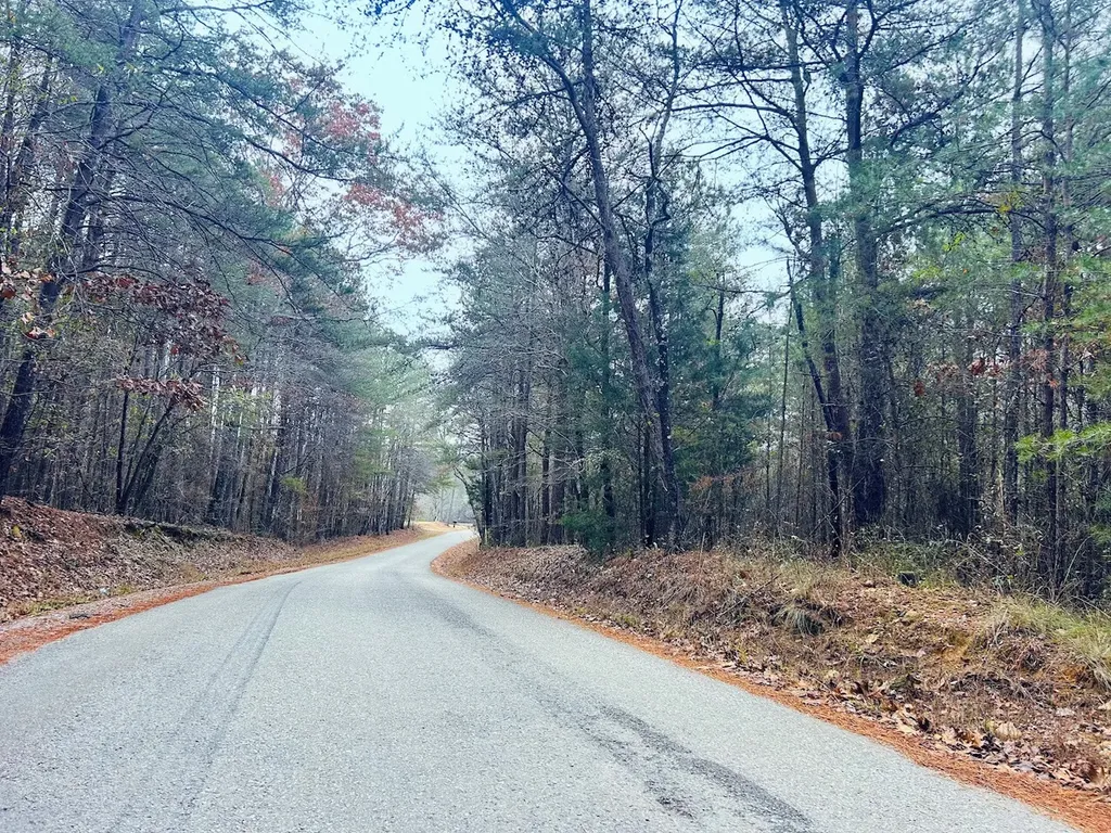 0 Hopeful Road Munford AL 36268