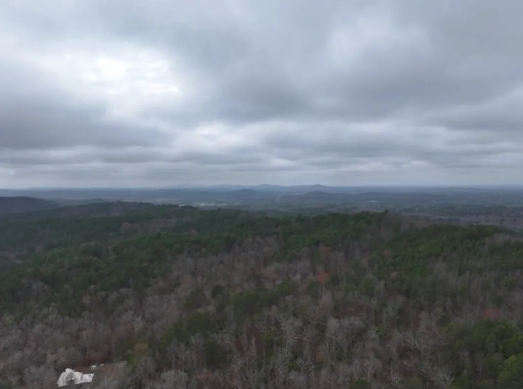 0 Hopeful Road Munford AL 36268