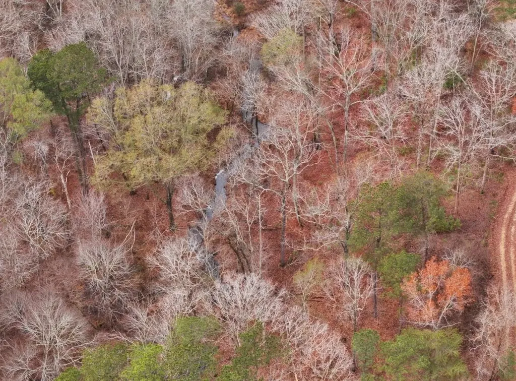 0 Hopeful Road Munford AL 36268