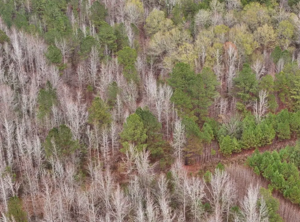 0 Hopeful Road Munford AL 36268