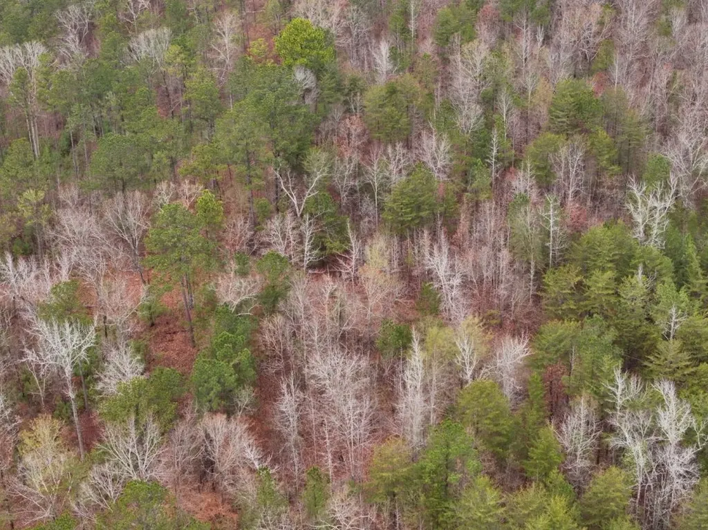 0 Hopeful Road Munford AL 36268