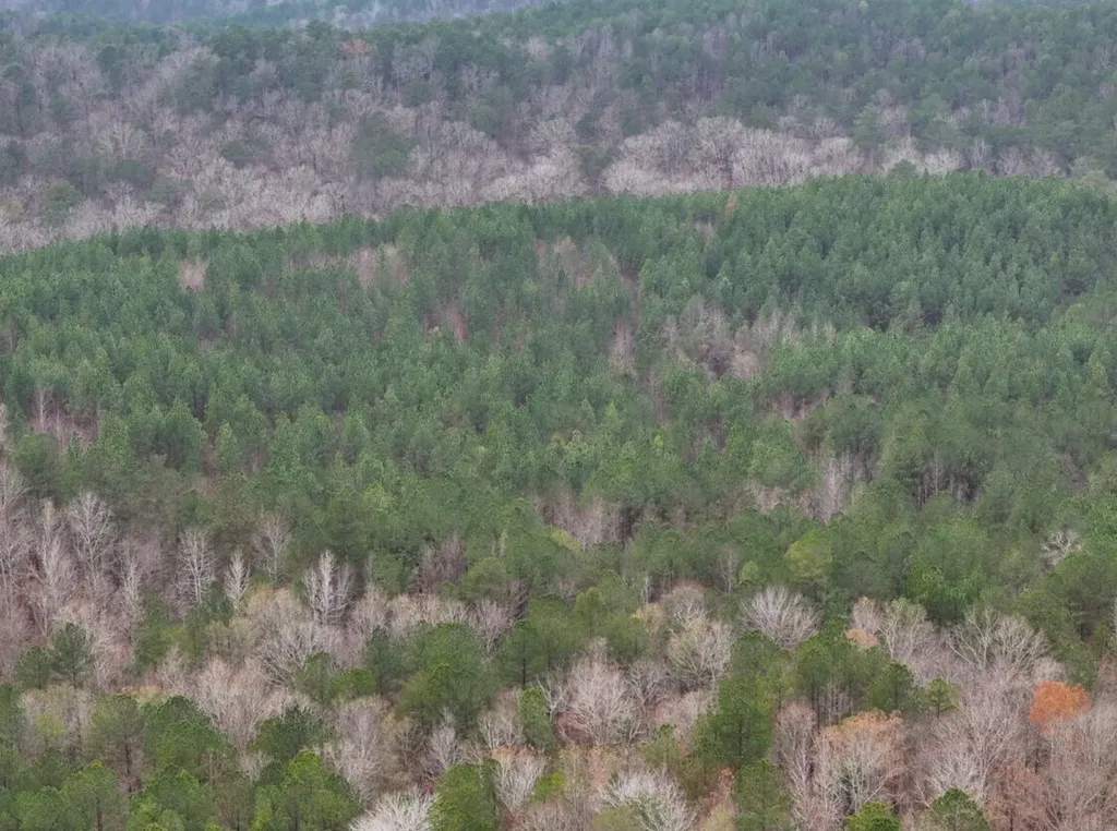0 Hopeful Road Munford AL 36268