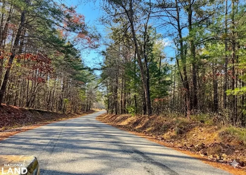0 Hopeful Road Munford AL 36268