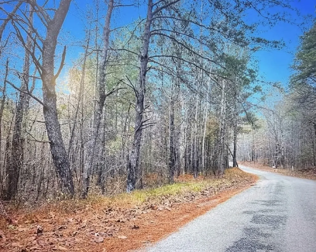 0 Hopeful Road Munford AL 36268