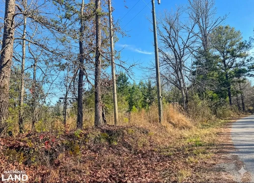0 Hopeful Road Munford AL 36268