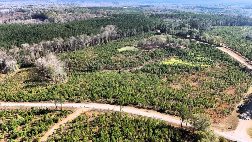 0 County Road 25 Banks AL 36005