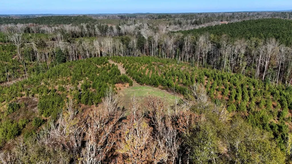 0 County Road 25 Banks AL 36005