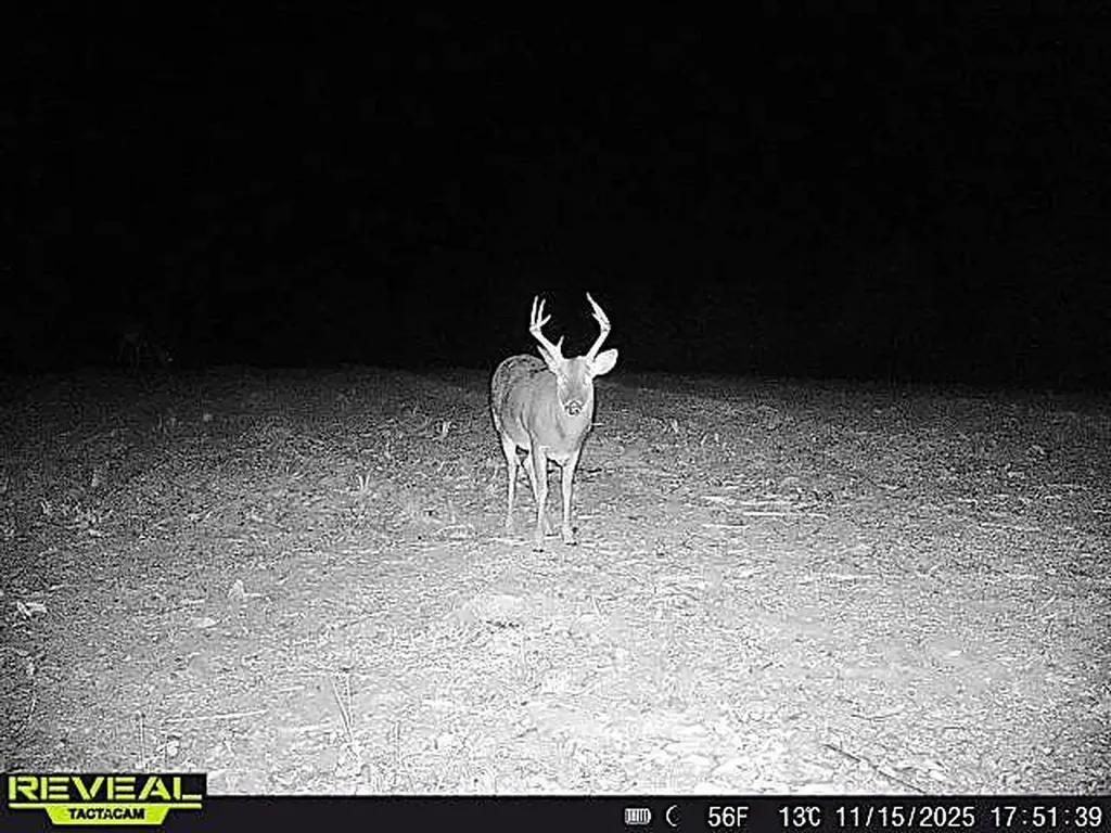 0 County Road 25 Banks AL 36005