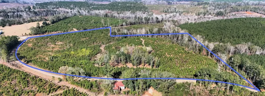 0 County Road 25 Banks AL 36005