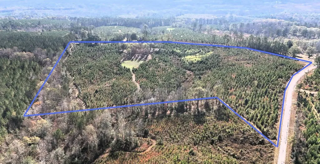 0 County Road 25 Banks AL 36005