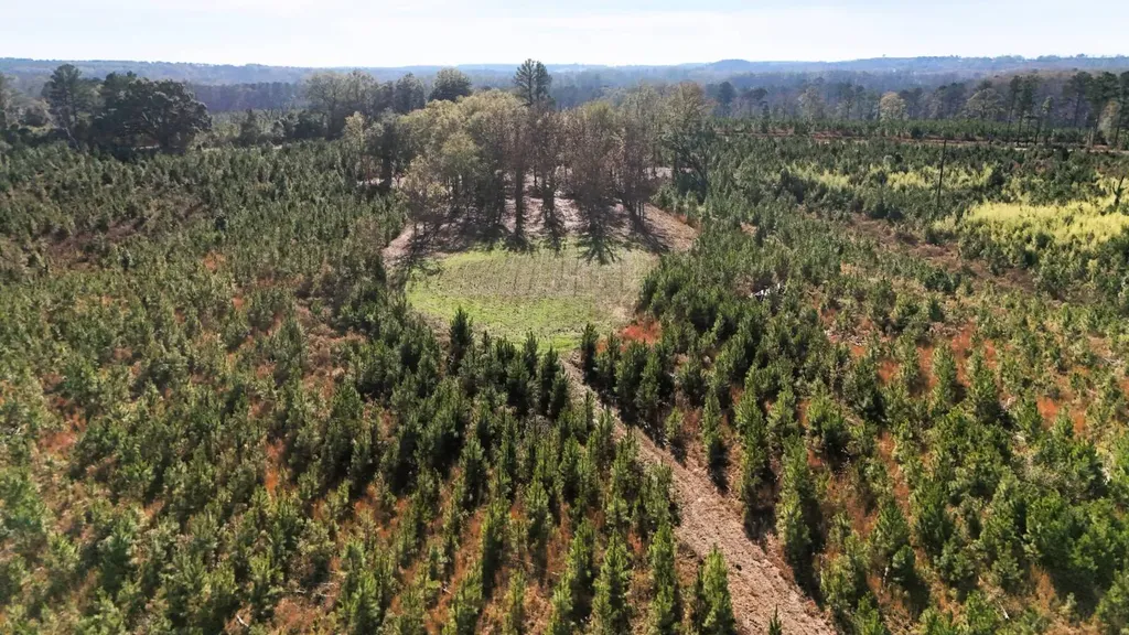 0 County Road 25 Banks AL 36005