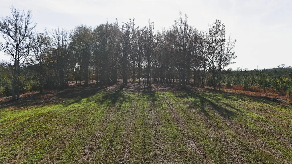 0 County Road 25 Banks AL 36005