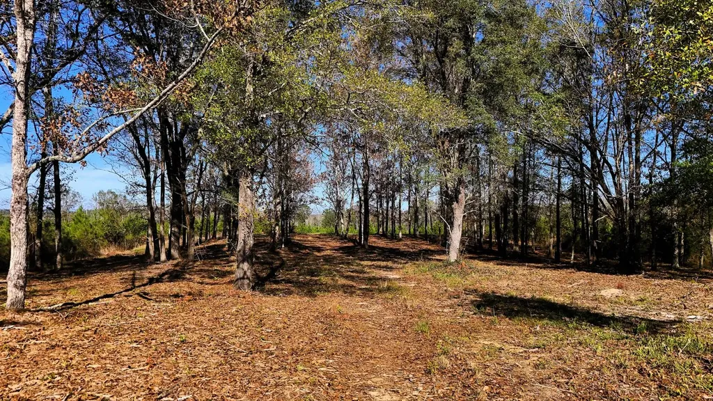 0 County Road 25 Banks AL 36005