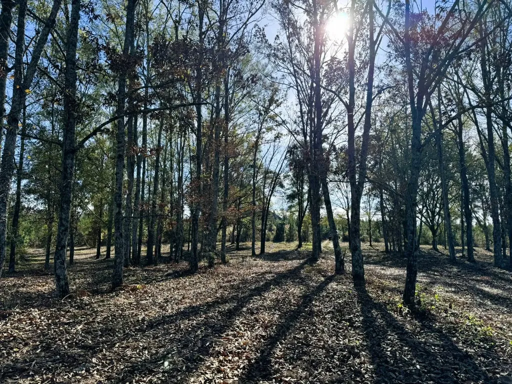 0 County Road 25 Banks AL 36005