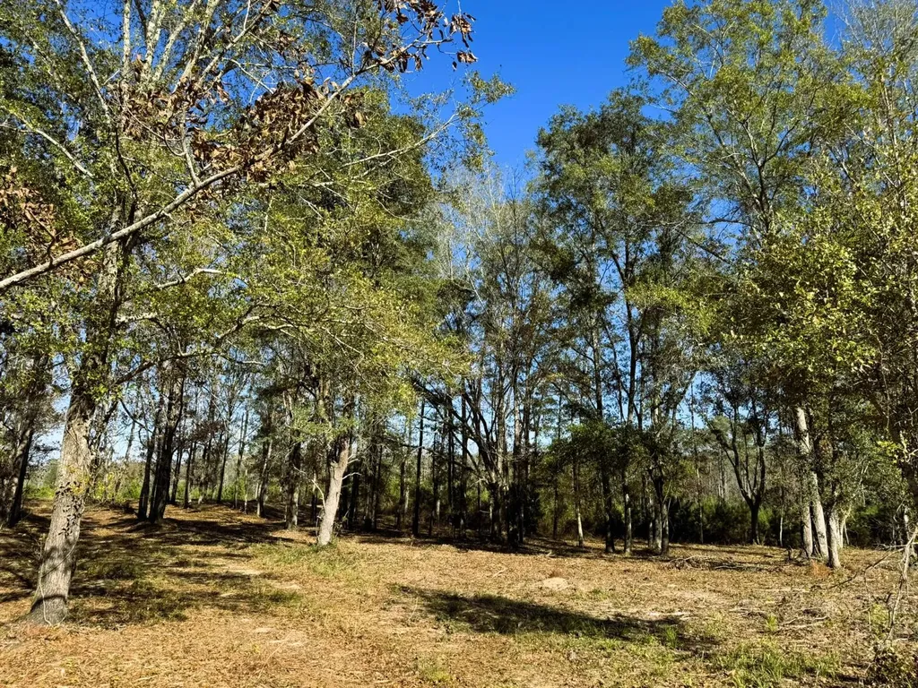 0 County Road 25 Banks AL 36005