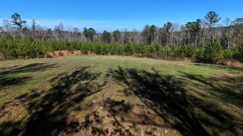 0 County Road 25 Banks AL 36005