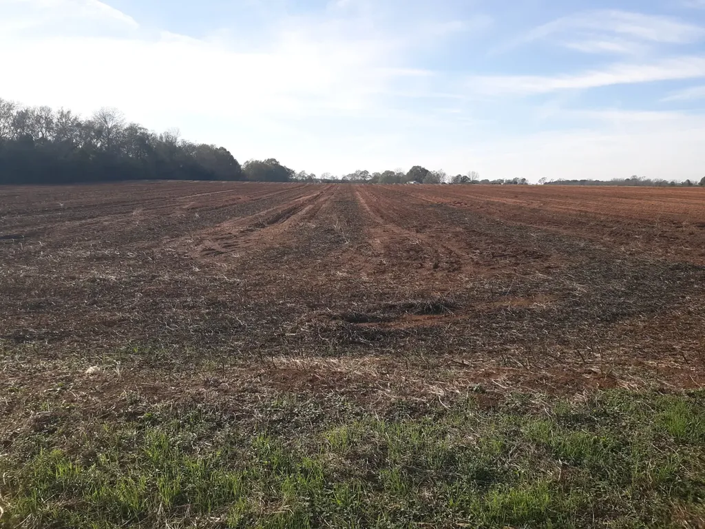 0 Cr 1 Daleville AL 36303