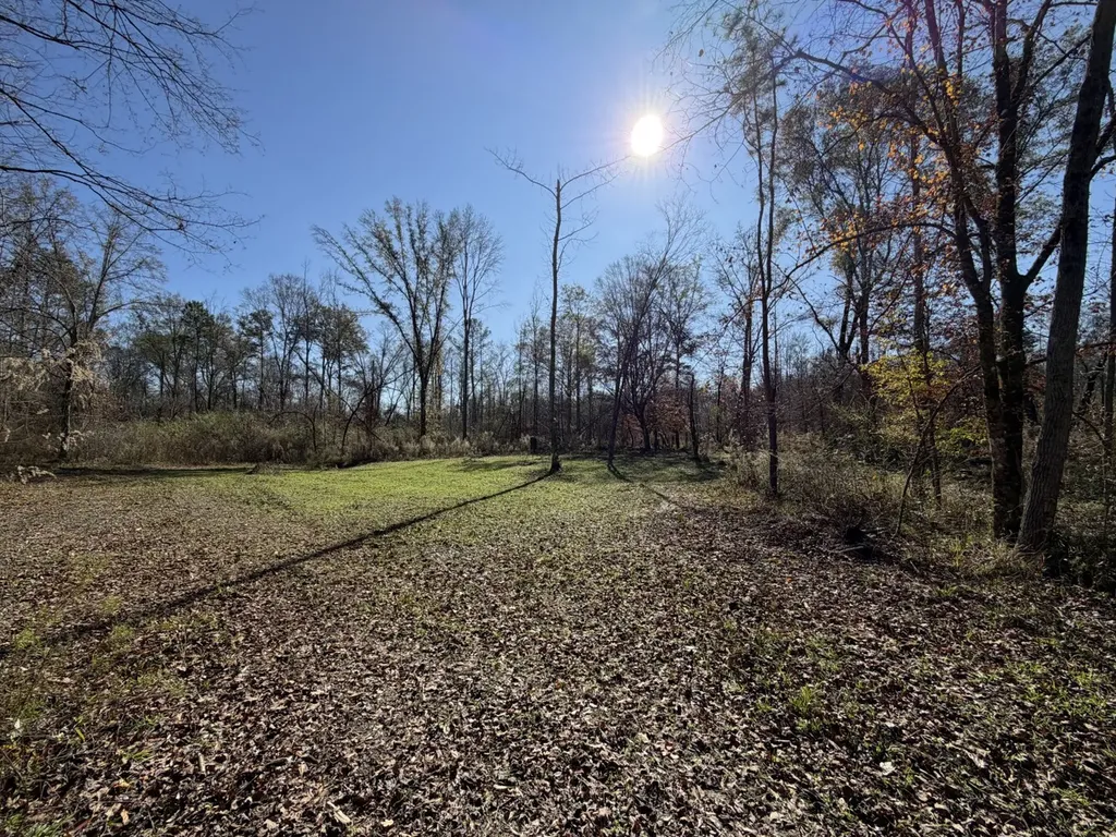 0 Cook Stand Road Luverne AL 36049