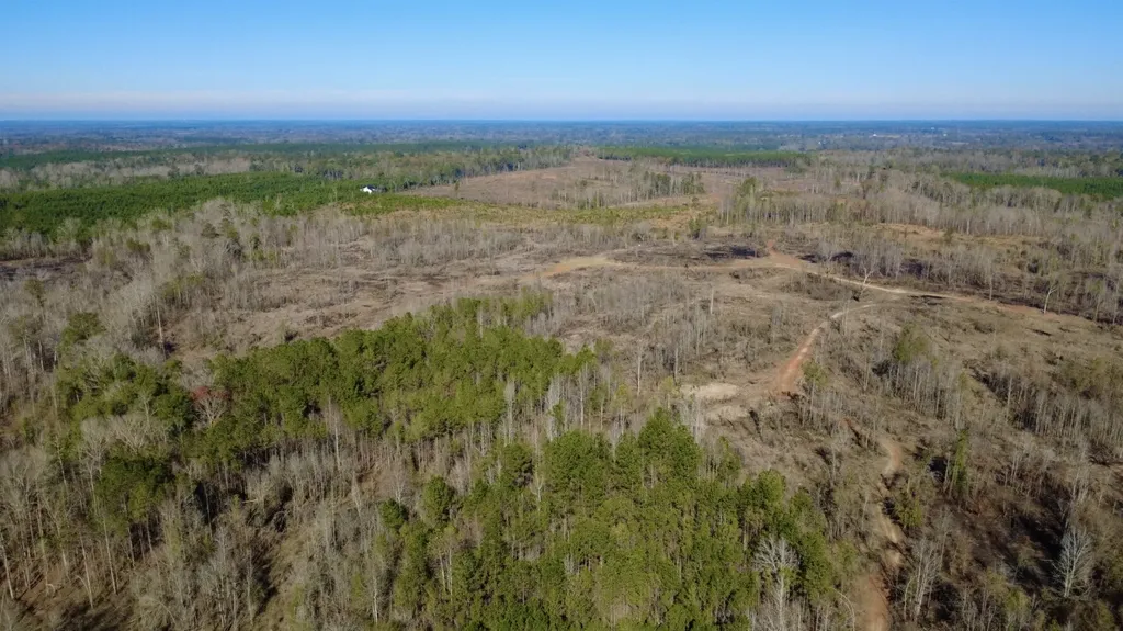 0 Cook Stand Road Luverne AL 36049