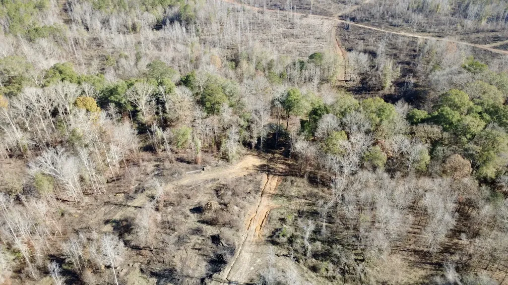 0 Cook Stand Road Luverne AL 36049