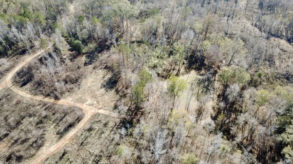 0 Cook Stand Road Luverne AL 36049
