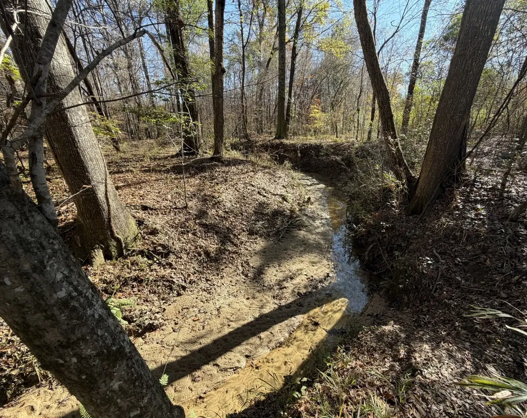 0 Cook Stand Road Luverne AL 36049