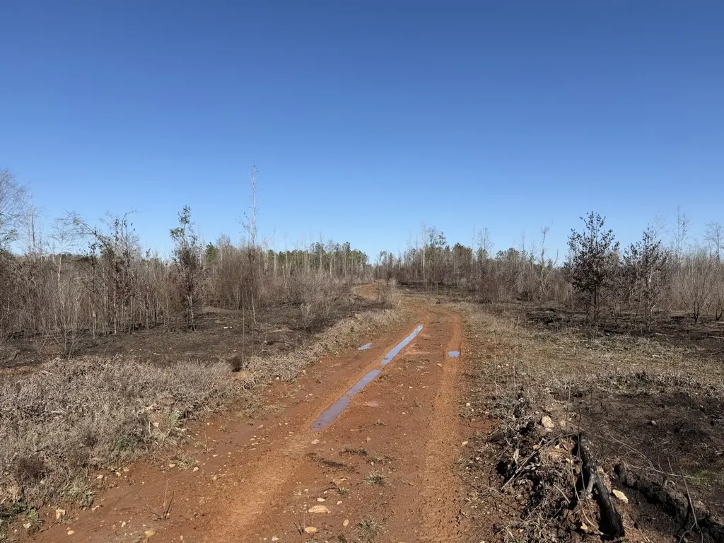 0 Cook Stand Road Luverne AL 36049
