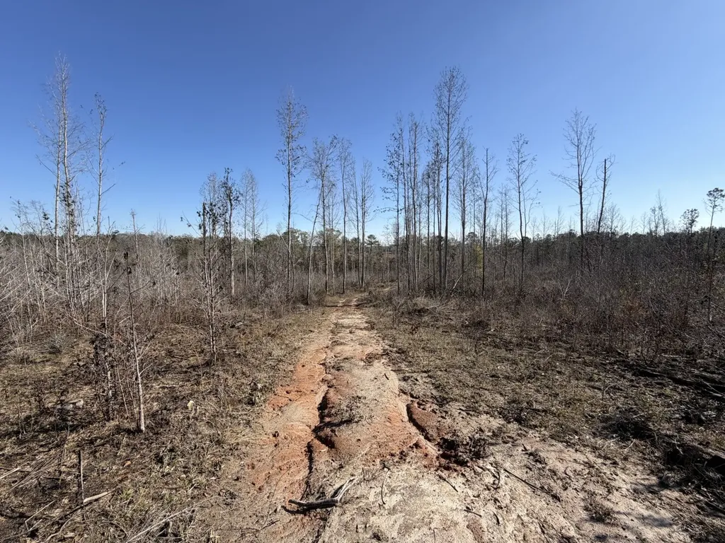 0 Cook Stand Road Luverne AL 36049