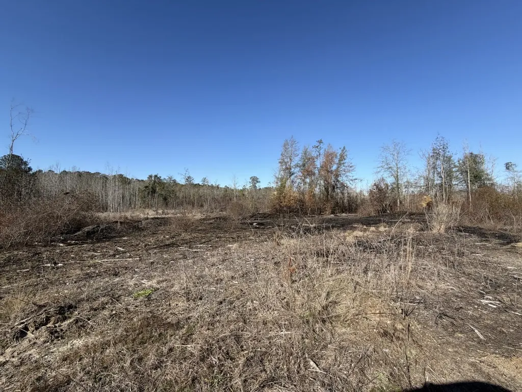 0 Cook Stand Road Luverne AL 36049