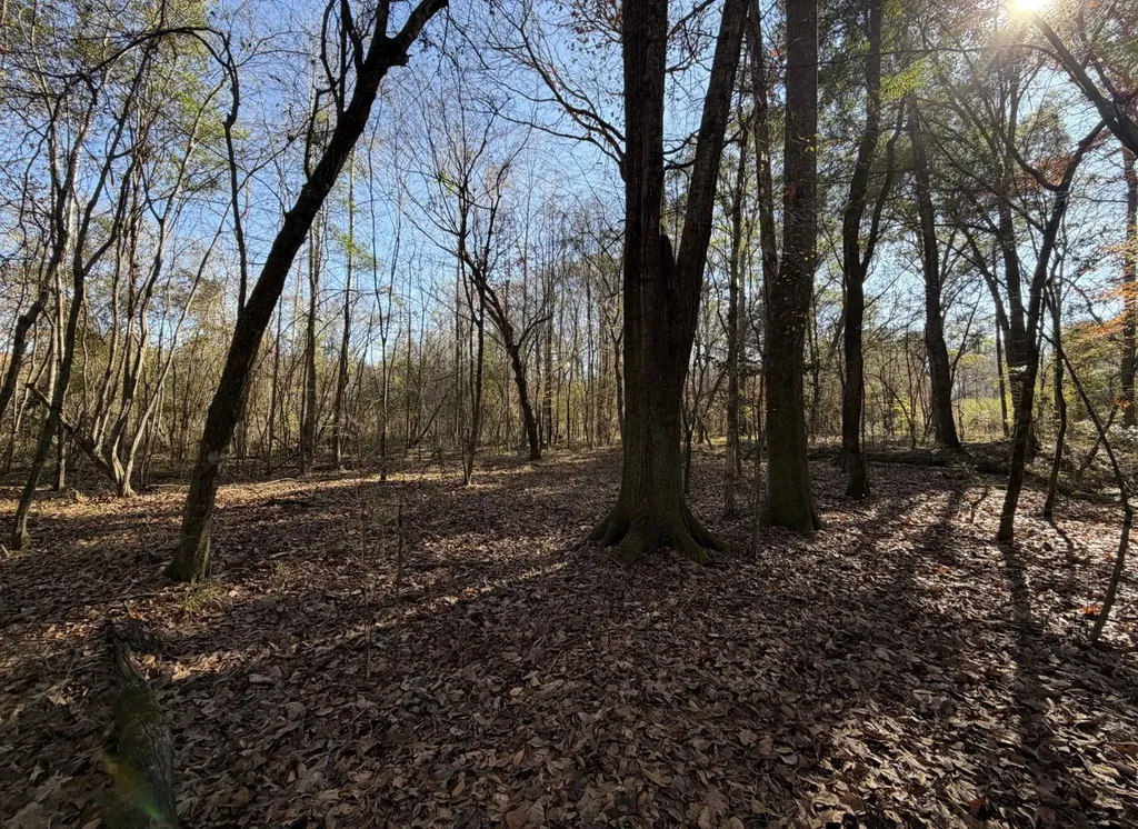 0 Cook Stand Road Luverne AL 36049