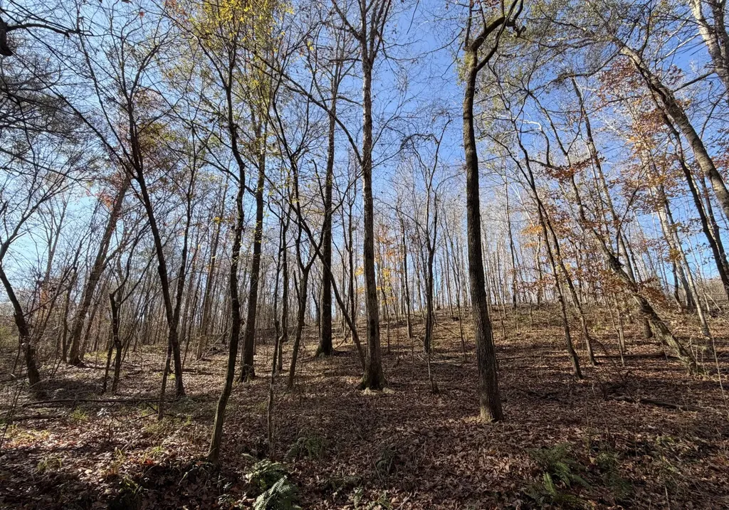 0 Cook Stand Road Luverne AL 36049