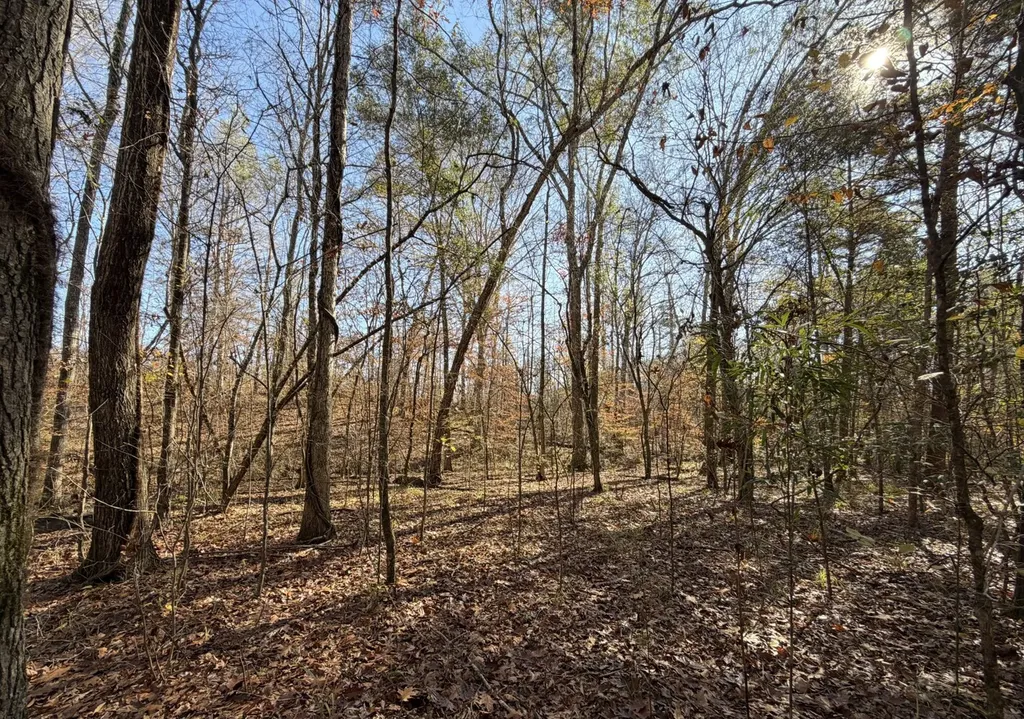 0 Cook Stand Road Luverne AL 36049
