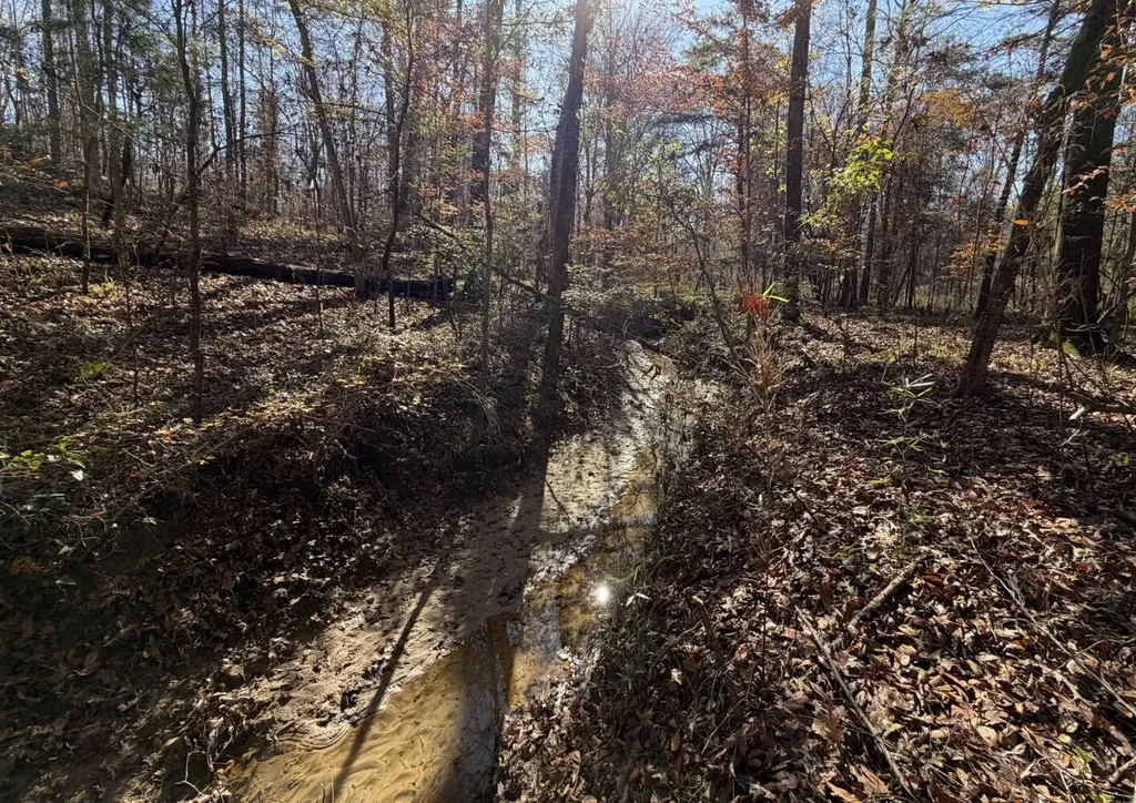 0 Cook Stand Road Luverne AL 36049