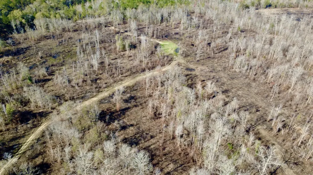 0 Cook Stand Road Luverne AL 36049