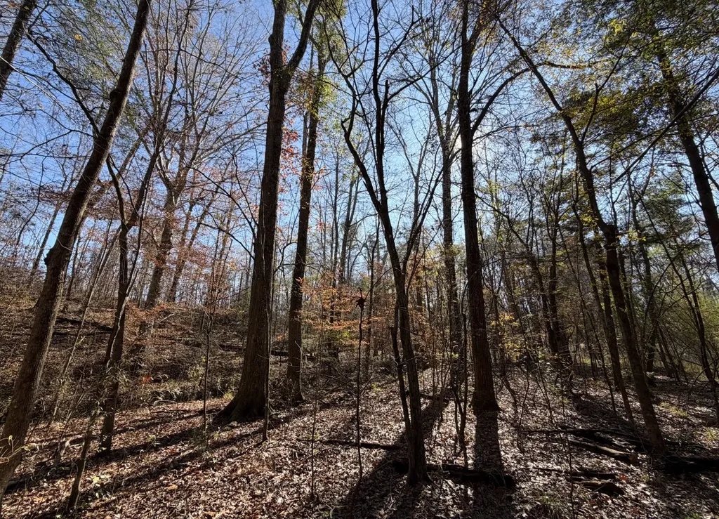 0 Cook Stand Road Luverne AL 36049