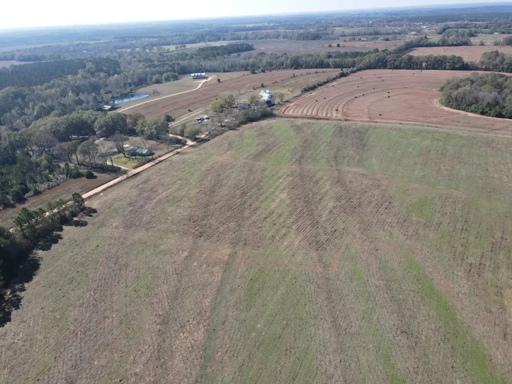 0 County Road 529 New Brockton AL 36351