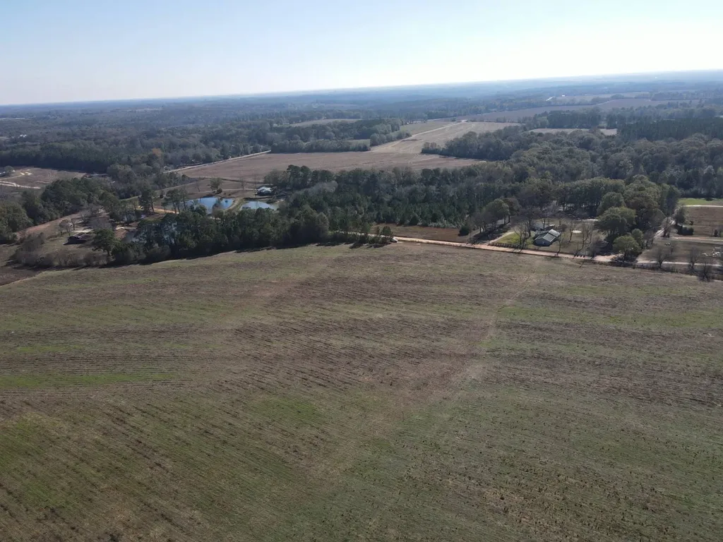 0 County Road 529 New Brockton AL 36351