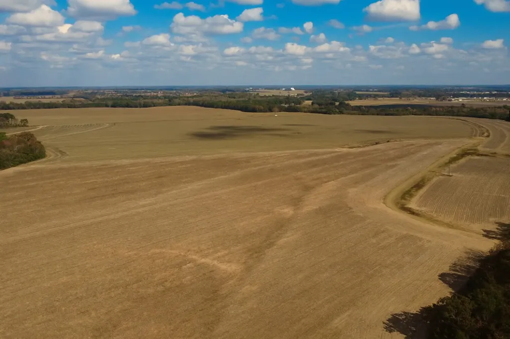 0 Borad Street Headland AL 36345