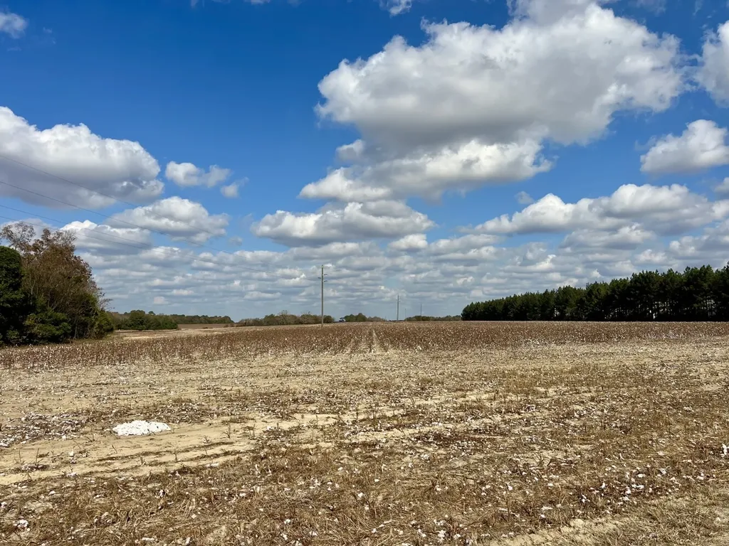 0 Borad Street Headland AL 36345