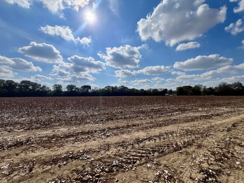 0 Borad Street Headland AL 36345