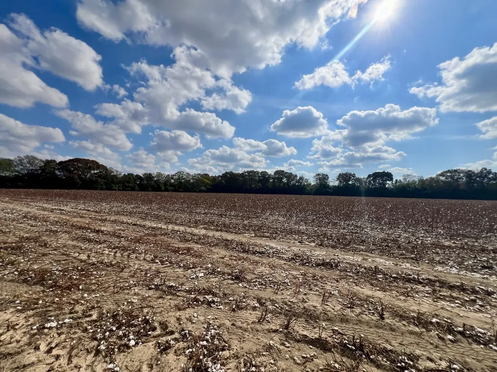 0 Borad Street Headland AL 36345