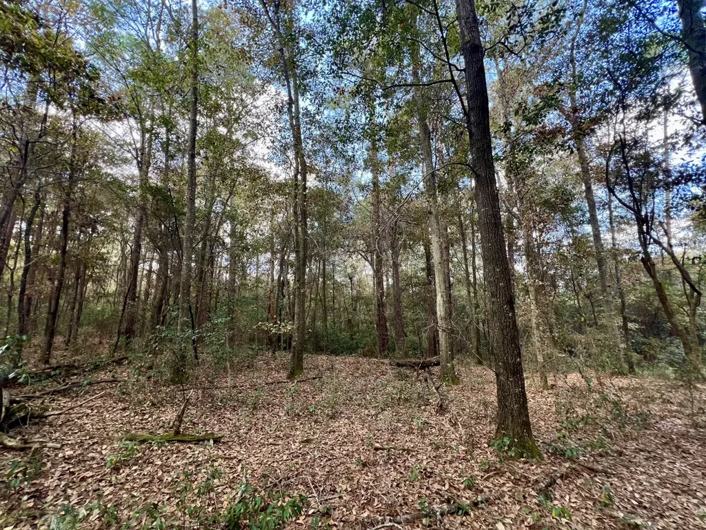 0 Borad Street Headland AL 36345